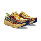 Asics Men's Noosa Tri 16 Road Running Shoes